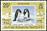 Emperor Penguin Aptenodytes forsteri  1979 Penguins 