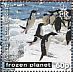 Adelie Penguin Pygoscelis adeliae  2011 Frozen planet Sheet