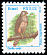 Roadside Hawk Rupornis magnirostris  1994 Birds 