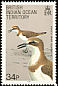Greater Sand Plover Anarhynchus leschenaultii  1990 Birds 