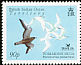 Pomarine Jaeger Stercorarius pomarinus  2007 BirdLife International 