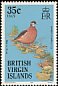 Bridled Quail-Dove Geotrygon mystacea  1985 Birds of the British Virgin Islands 