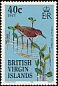 Green Heron Butorides virescens  1985 Birds of the British Virgin Islands 