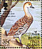 West Indian Whistling Duck Dendrocygna arborea  2002 BirdLife International Sheet, no frame