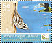 Black-and-white Warbler Mniotilta varia  2005 Birdlife International Sheet