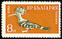 Eurasian Hoopoe Upupa epops