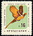 Common Pheasant Phasianus colchicus  1961 Birds 