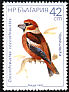 Hawfinch Coccothraustes coccothraustes  1987 Birds 