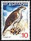Eurasian Goshawk Accipiter gentilis  1988 Birds 