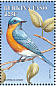 Eastern Bluebird Sialia sialis  1998 Birds Sheet
