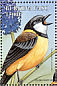 Australian Golden Whistler Pachycephala pectoralis  1998 Birds  MS MS