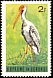 Yellow-billed Stork Mycteria ibis  1965 Birds 