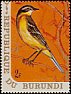 Western Yellow Wagtail Motacilla flava  1970 Birds 