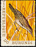 Great Reed Warbler Acrocephalus arundinaceus  1970 Birds 