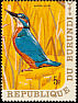 Common Kingfisher Alcedo atthis  1970 Birds 