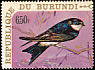 Western House Martin Delichon urbicum  1970 Birds 