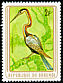 African Darter Anhinga rufa  1979 Birds 