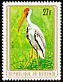 Yellow-billed Stork Mycteria ibis  1979 Birds 