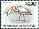 Yellow-billed Stork Mycteria ibis