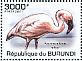 Lesser Flamingo Phoeniconaias minor  2011 Waterbirds Sheet
