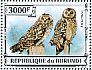 Short-eared Owl Asio flammeus  2013 Owls Sheet