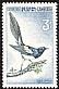 Oriental Magpie Pica serica  1964 Birds 