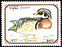Wood Duck Aix sponsa  1993 Bangkok 1993 