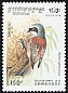 Eurasian Penduline Tit Remiz pendulinus  1994 Birds 