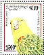 Yellow-headed Amazon Amazona oratrix  1995 Parrots  MS
