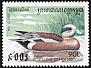 American Wigeon Mareca americana  1997 Ducks 