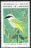 Mount Kupe Bushshrike Chlorophoneus kupeensis  1991 Birds 