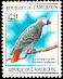 Grey Parrot Psittacus erithacus  1995 Birds 