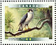 American Goshawk Accipiter atricapillus  1999 Birds of Canada Sheet or strip