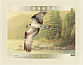 Osprey Pandion haliaetus  2000 Birds of Canada Booklet, sa