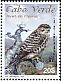 Common Kestrel Falco tinnunculus  2008 Birds of prey 