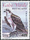Osprey Pandion haliaetus  2008 Birds of prey 