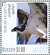 Osprey Pandion haliaetus  2016 Birds of Bonaire Sheet