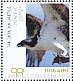 Osprey Pandion haliaetus  2018 Birds of Bonaire Sheet