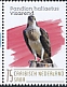 Osprey Pandion haliaetus  2020 Birds (Saba) 