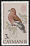 White-winged Dove Zenaida asiatica  1974 Birds 