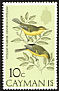 Vitelline Warbler Setophaga vitellina  1974 Birds 