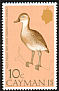 West Indian Whistling Duck Dendrocygna arborea  1975 Birds 