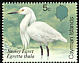 Snowy Egret Egretta thula  1984 Birds of the Cayman Islands 