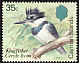 Belted Kingfisher Megaceryle alcyon  1984 Birds of the Cayman Islands 