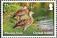 West Indian Whistling Duck Dendrocygna arborea  2020 Definitives 12v set