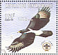 Verreaux's Eagle Aquila verreauxii  1998 Boy scouts association Sheet
