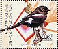 Magpie Shrike Lanius melanoleucus  2001 Birds Sheet