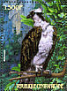 Osprey Pandion haliaetus  2001 Birds  MS MS