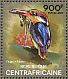 Black-backed Dwarf Kingfisher Ceyx erithaca  2014 Kingfishers Sheet