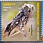African Scops Owl Otus senegalensis  2023 Biodiversity, birds Sheet